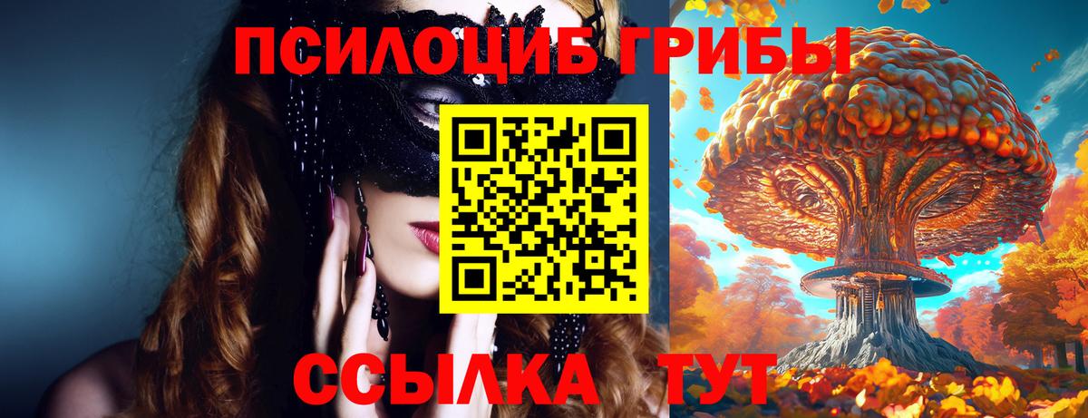 что такое   Вход с VPN  Алексеевка  Галлюциногенные грибы MAGIC MUSHROOMS  Галлюциногенные грибы прущие грибы 